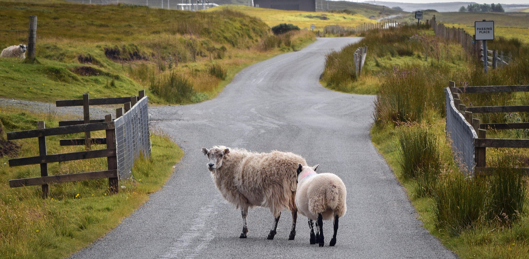 Scottish Borders