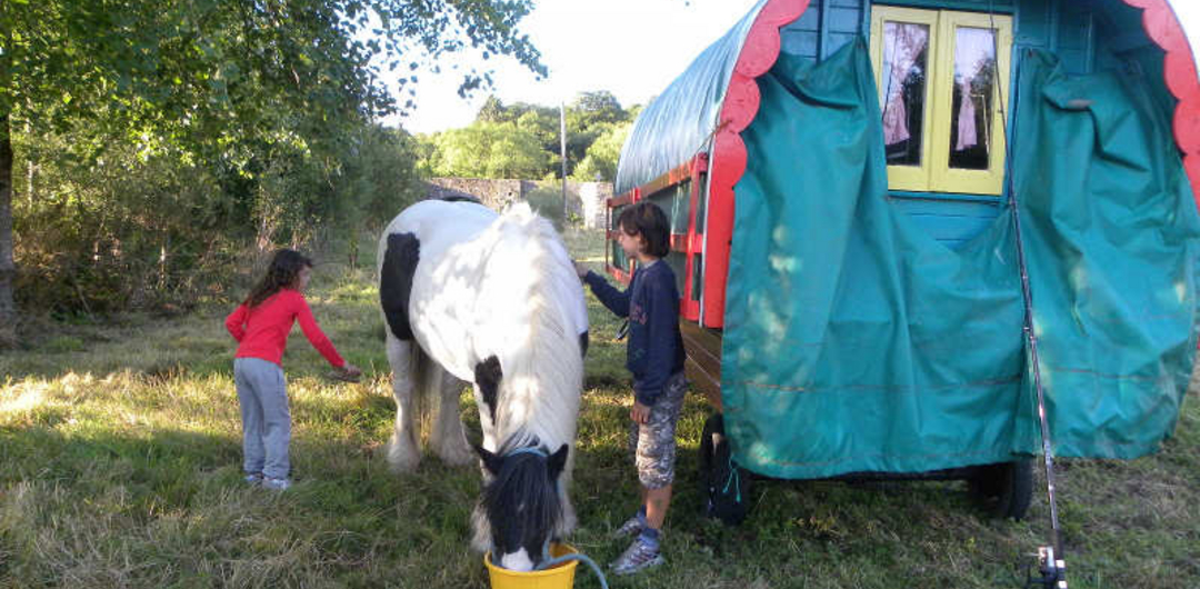 Carvan auf der Farm