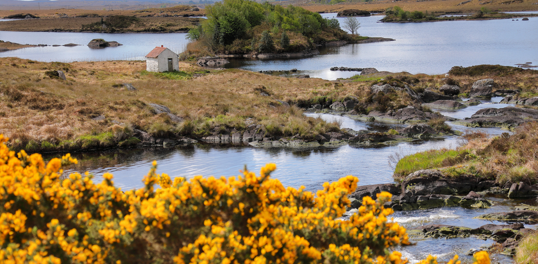 Connemara