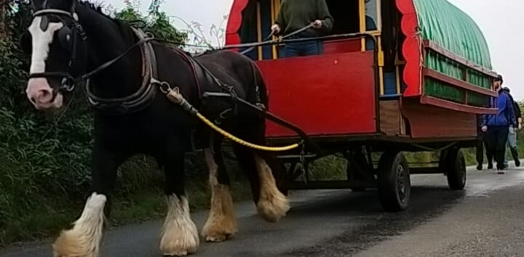 unterwegs in Laois