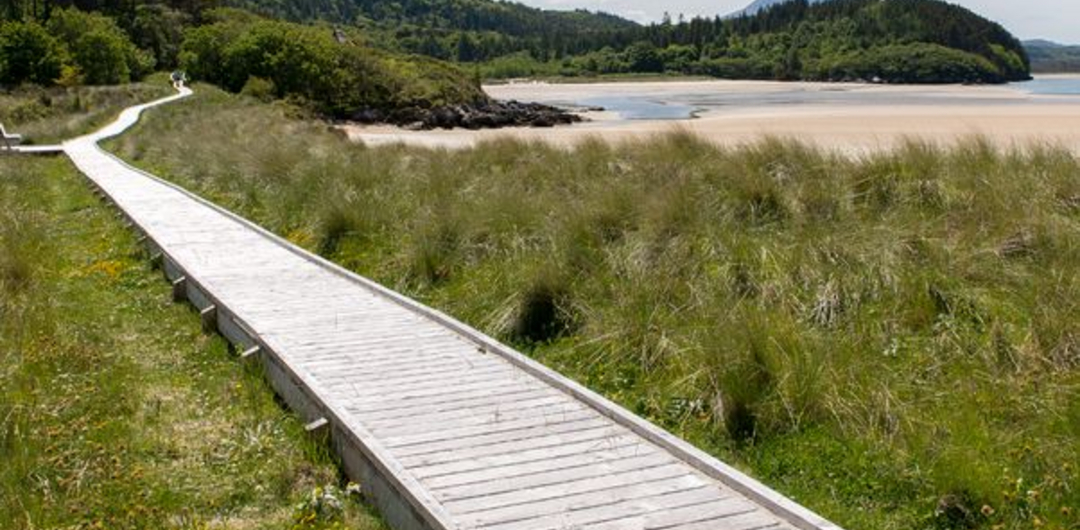 Ards Forest Park