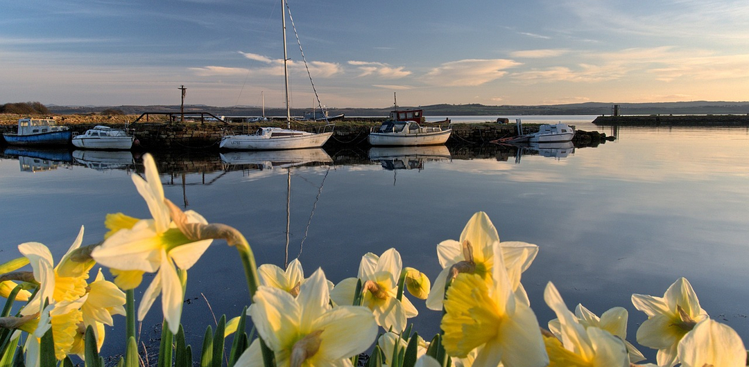 Fife