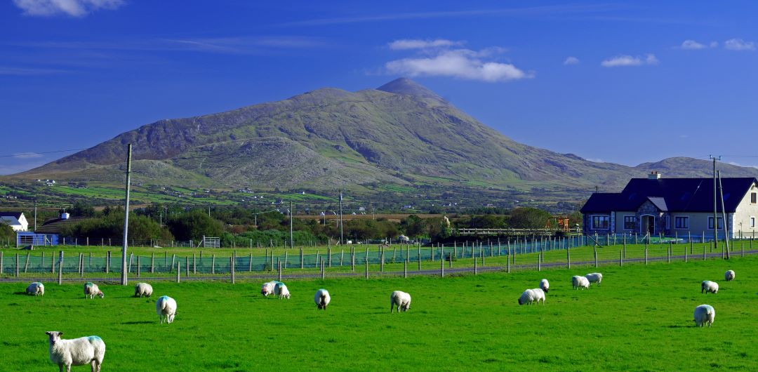 Croagh Patrick