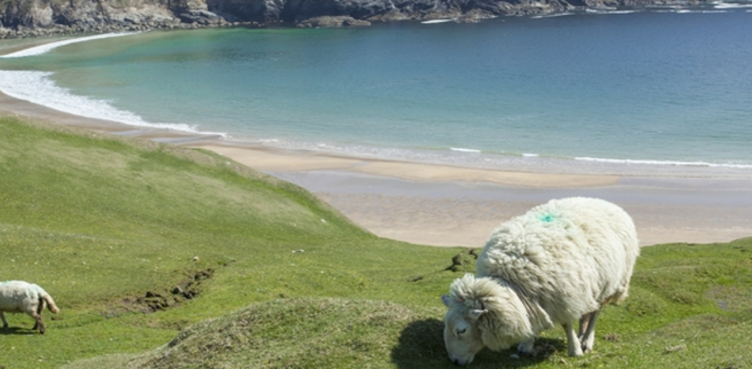 Dingle Halbinsel